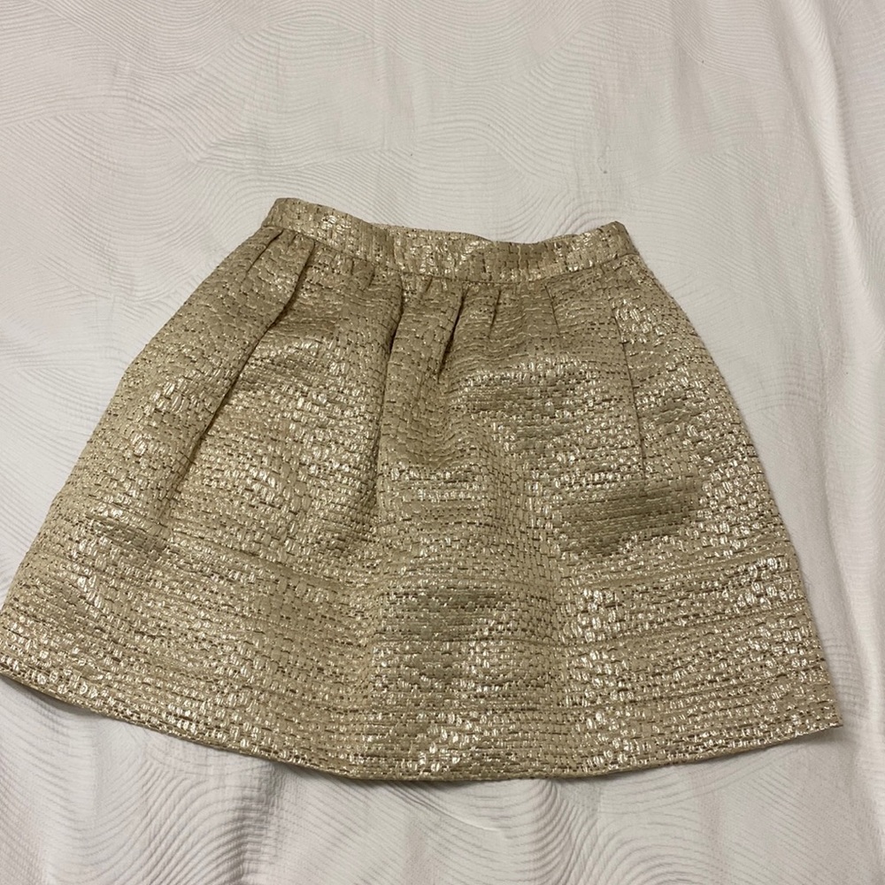 Steven Alan Silver/Gold metallic skirt size 2